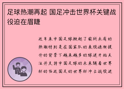 足球热潮再起 国足冲击世界杯关键战役迫在眉睫